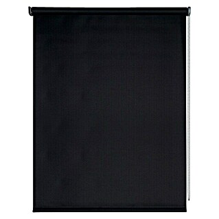 Estor enrollable opaco Night (An x Al: 100 x 250 cm, Negro)