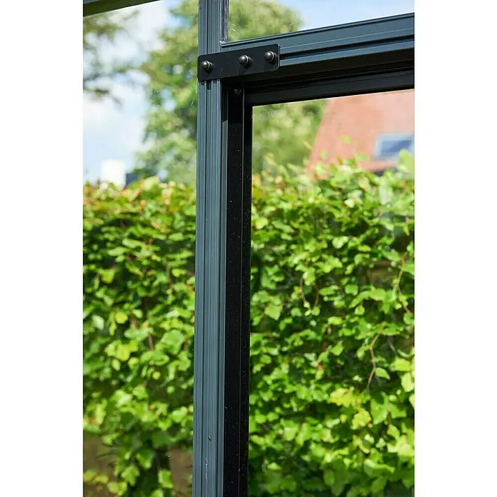 Juliana Gewächshaus Oase - Außenmaß inkl. Dachüberstand (B x T): 368 x 368 cm, Material Seitenwand: Glas, 3 mm, Anthrazit/Schwarz - Nahaufnahme eines Gewächshausrahmens aus Metall mit klaren Glasscheiben und Blick auf üppiges Grün, das die robuste Bauweise des Gewächshauses hervorhebt.