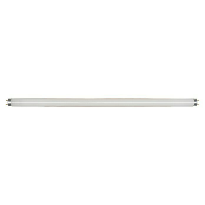 Osram Leuchtstoffröhre Interna (T8, Warmweiß, 18 W, Länge: 60 cm, Energieeffizienzklasse: A)