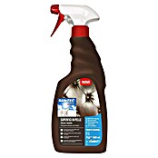 Sanitec Površinsko čistilo S4 Leather  (500 ml) | 7136 - Spezialreinigung | HHCA - Reinigungsmittel | HHC - Reinigung | HH - Reinigung | H - Innendeko/Farben | BAUHAUS