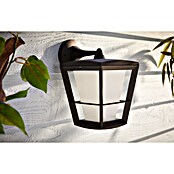 Philips Hue Led-wandlamp voor buiten (1 lampen, 15 W, Lichtkleur: Bont, IP44)