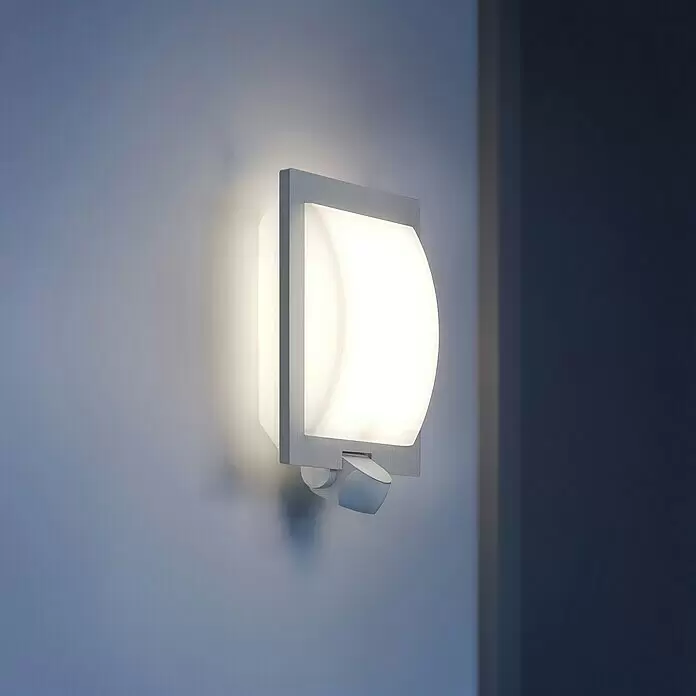 Steinel Sensor-Außenleuchte L 20 S Edelstahl - 60 W, 8 x 24 x 23 cm, Weiß/Silber, IP44 - Stimmungsaufnahme