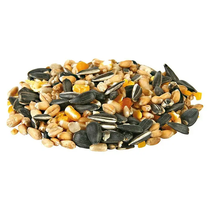CJ Wildlife Wildvogelfutter - 1 kg, Mit Insekten - Nahaufnahme einer Mischung aus Körnerfutter für Vögel, einschließlich Sonnenblumenkerne, Weizen und Mais für eine ausgewogene Ernährung.