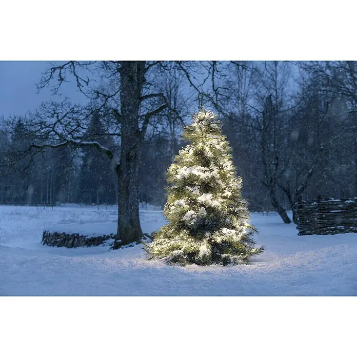 Konstsmide LED-Clusterlichterkette Micro LED Cluster - Außen, Länge: 10,8 m, 768 Stk., Netzbetrieben, Lichtfarbe: Bernstein - Verschneiter Weihnachtsbaum mit warmweißen Lichtern im winterlichen Garten, der eine festliche und friedliche Atmosphäre schafft.