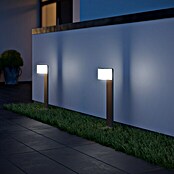 Steinel Sensor-LED-Außenwegeleuchte GL 80 LED iHF (9,5 W, Anthrazit, L x B x H: 13,2 x 11 x 63,25 cm)