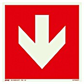 Pickup Fluchtwegschild (L x B: 150 x 150 mm, Pfeil unten, Rot, null)