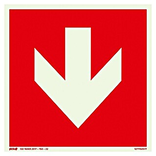 Pickup Fluchtwegschild SK (L x B: 150 x 150 mm, Pfeil unten, Rot)