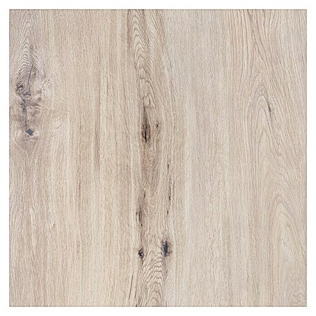Terrassenfliese Garden Lightbrown 2.0 (59,7 cm x 59,7 cm x 20 mm, Hellbraun, Matt)