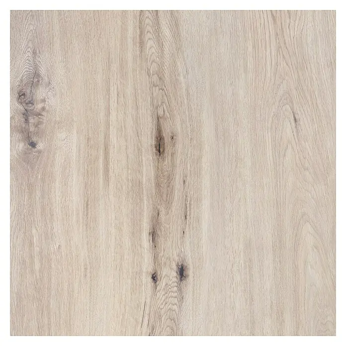 Terrassenfliese Garden Lightbrown 2.0 - 59,7 x 59,7 x 2 cm, Hellbraun, Matt - Detailaufnahme einer hellen Holzoberfläche mit markanten Maserungen und Astlöchern, ideal für Möbel- und Innendesign.
