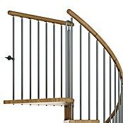 Dolle Wenteltrap Winnipeg (Diameter: 140 cm, Basalt grijs, Kleur treden: Eiken netuur, Verdiepingshoogte: 246 cm - 270 cm) | BAUHAUS