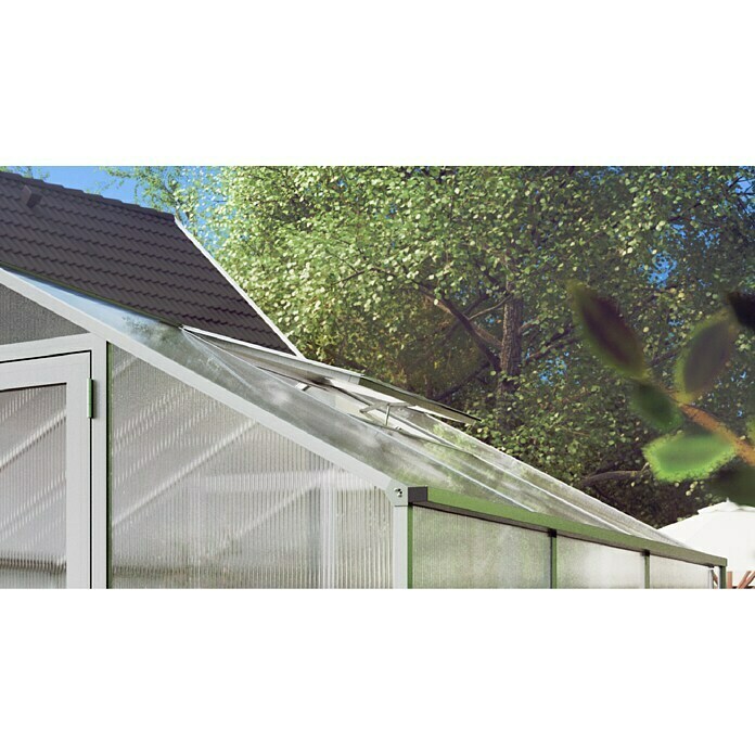 KGT Dachfenster (62 x 102 x 5 cm, Passend für: KGT Gewächshäuser Tulpe, Farbe: Pressblank)