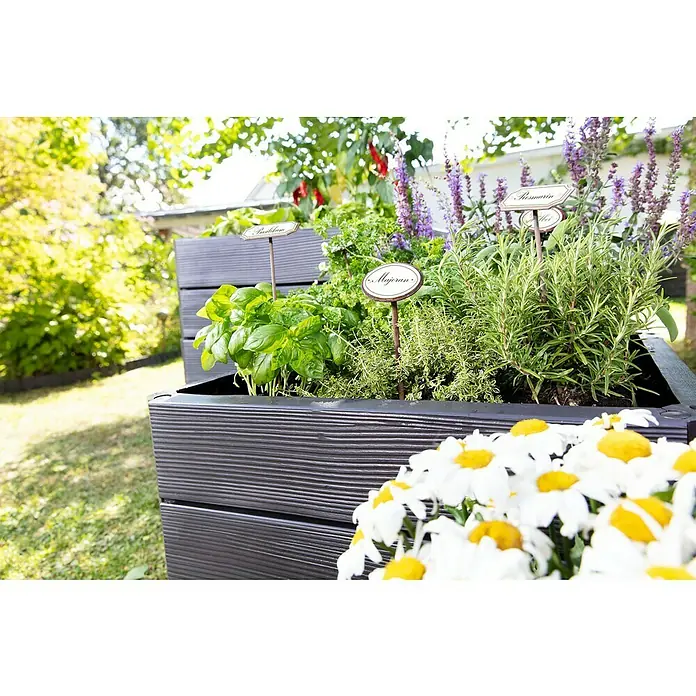 Garantia Hochbeet Ergo Quadro M - 80 x 60 x 25 cm, Kunststoff, Anthrazit, Holzoptik - Holzkübel mit Basilikum, Majoran und Rosmarin sowie Gänseblümchen. Ein Hingucker für Garten oder Terrasse.