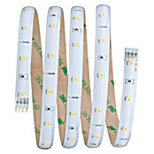 Paulmann Tira LED (1,5 m, Blanco cálido, 4,5 W)