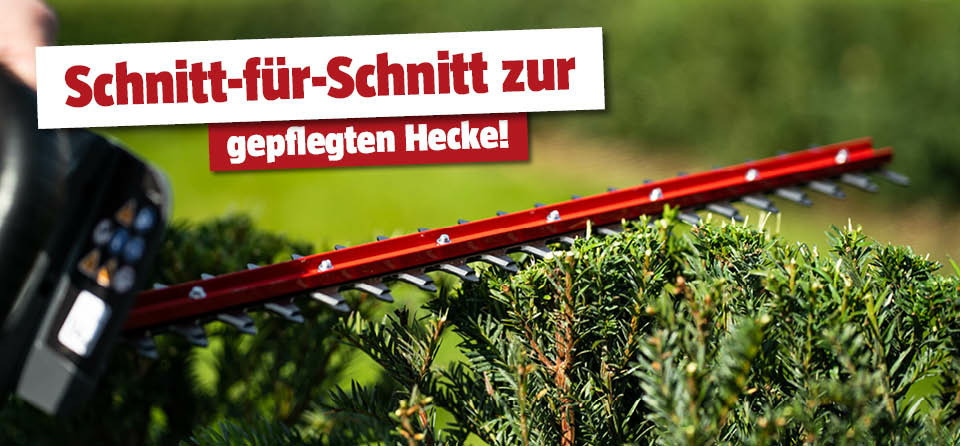 Heckenschnitt