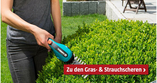 Gras- und Strauchschere