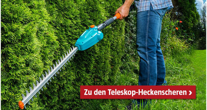 Teleskop-Heckenschere