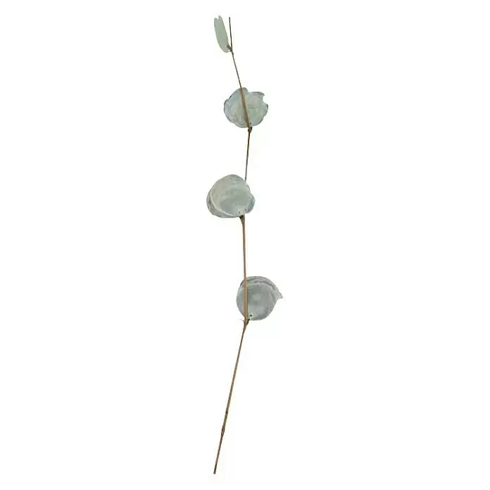Kunstpflanze Zweig Capiz - Höhe: 78 cm - Ein einzelner getrockneter Pflanzenstiel mit mehreren durchscheinenden, papierartigen Silberblatt-Samenschoten.