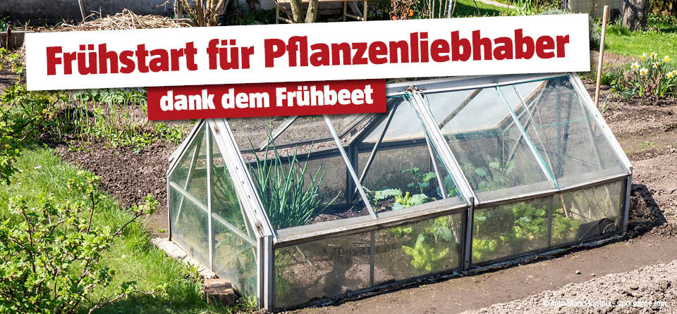 Frühbeet