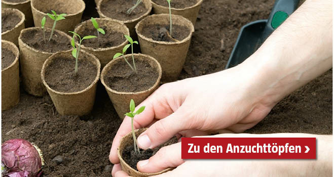 Anzuchttöpfe 