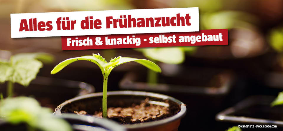 Frühanzucht