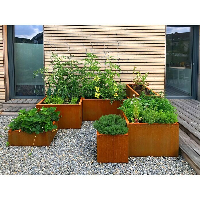 Palatino Exlusive Line Maceta para las plantas (60 x 60 x 50 cm, Acero Corten, Rojo-pardo)