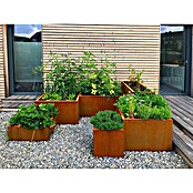 Palatino Exlusive Line Maceta para las plantas (60 x 60 x 50 cm, Acero Corten, Rojo-pardo)