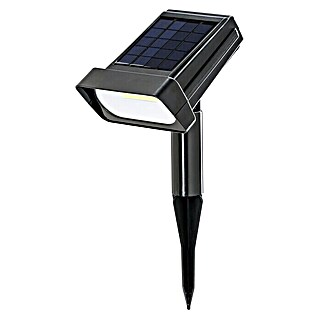 BAUHAUS Solar-Erdspieß Premium (LED, Schwarz, Höhe: 31 cm)