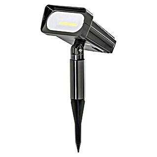 BAUHAUS Solarna svetilka s talno konico (LED, Črne barve, Višina: 31 cm)
