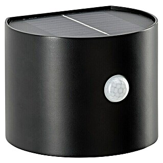 BAUHAUS Aplique solar LED para exterior Wall Light (Detector de movimiento, 0,5 W, Plástico, Blanco neutro, Negro)
