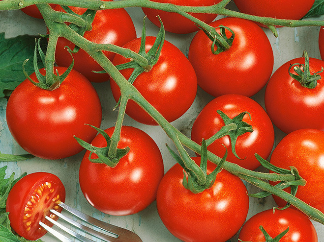 10 Tomatensorten im Vergleich