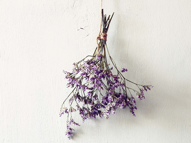 Lavendelstrauß vor weißer Wand