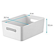 SmartStore Aufbewahrungsbox Compact (L x B x H: 41 x 28,7 x 15,5 cm, Kunststoff, Weiß)