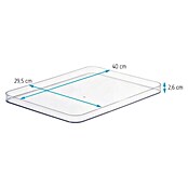 SmartStore Deckel Compact (L x B x H: 40 x 29,5 x 2,6 cm, Kunststoff, Transparent)