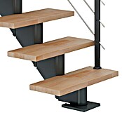 Dolle Mittelholmtreppe Hamburg (Breite: 85 cm, Gerade, Anthrazitgrau, Farbe Stufen: Buche Natur, Geschosshöhe: 240 cm - 279 cm) | BAUHAUS