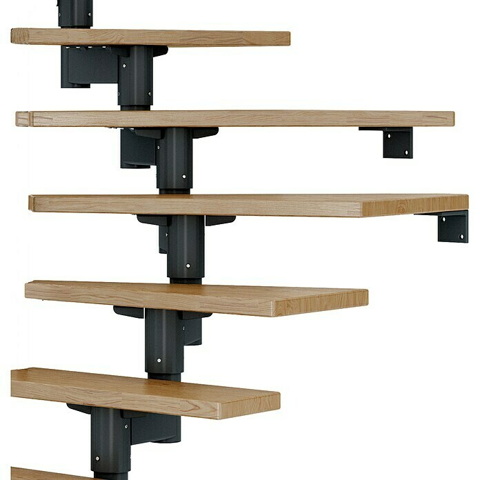 Dolle Mittelholmtreppe Cork (Breite: 75 cm, 1/4-gewendelt, Anthrazitgrau, Farbe Stufen: Eiche Natur, Geschosshöhe: 240 cm - 292 cm) | BAUHAUS