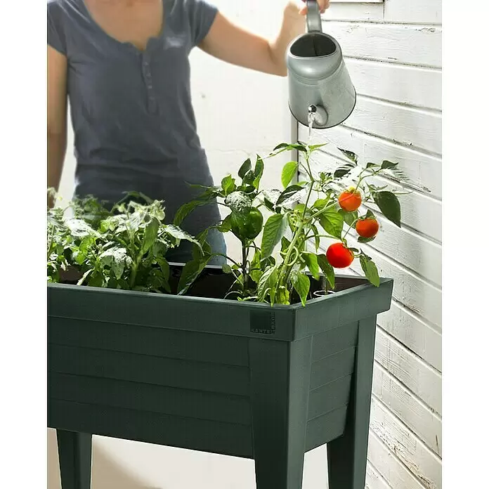 Hochbeet mit Haube - 100 x 50 x 107 cm, Kunststoff, Basalt - Stimmungsaufnahme