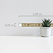 AS Creation Only Borders 11 Tapetenborte Blumenranke (Braun/Beige, 5 x 0,05 m, Selbstklebefolie) | BAUHAUS