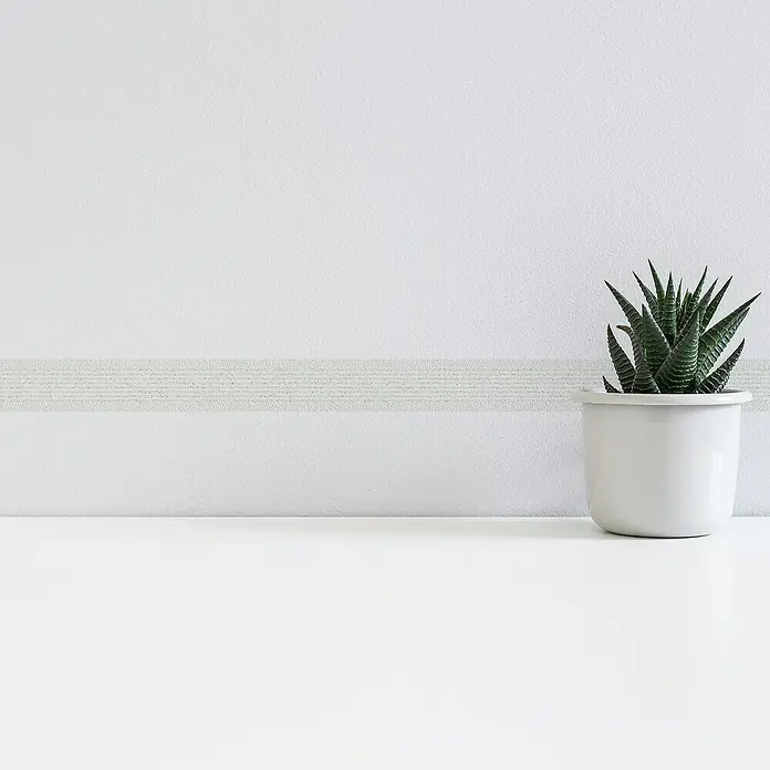 A.S. Création Only Borders 11 Tapetenborte Streifen - Kunststoff, Weiß/Grau - Elegante Haworthia-Zebra-Sukkulente in einem weißen Topf, perfekt als minimalistische Tischdekoration. Die Pflanze bringt frische Akzente.