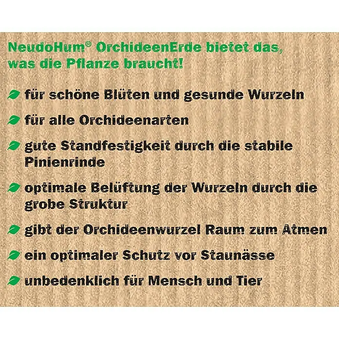bogenhanf preis Bogenhanf kaufen | Sansevieria zeylanica main image 0