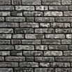 Panel de pared Loft (2 ud., 120 x 50 cm, Antracita) | BAUHAUS