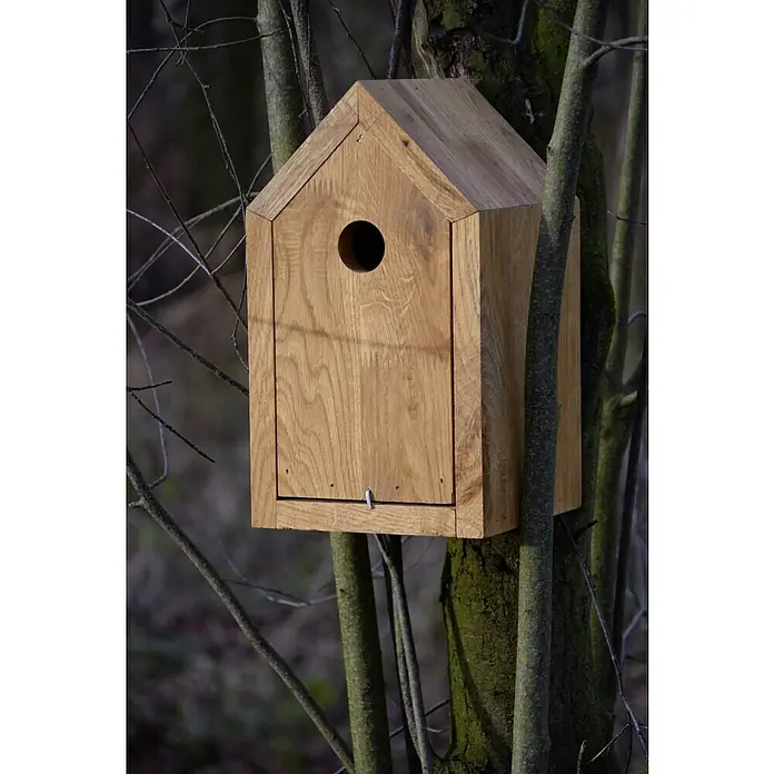 Dobar Vogelhaus Luxus - 16 x 16 x 28 cm, Natur, Holz - Holz-Nistkasten an einem Baum befestigt. Ein gemütliches Zuhause für Vögel in der Natur, mit einem kreisrunden Eingang.