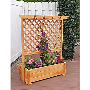 Promadino Pflanzkasten mit Pergola (Außenmaß (L x B x H): 112 x 65 x 139 cm, Holz, Honigbraun)
