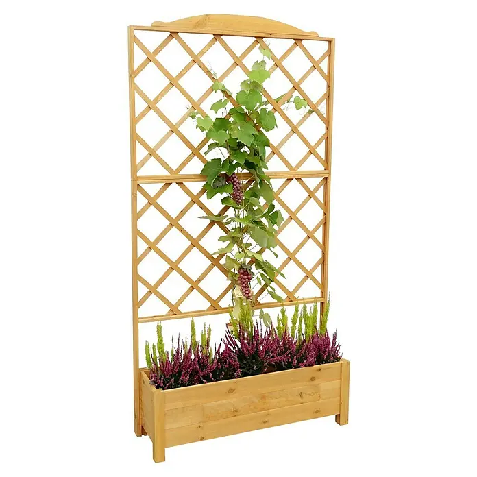 Promadino Pflanzkasten - Außenmaß (L x B x H): 110 x 32 x 210 cm, Holz, Honigbraun - Holzpflanzkasten mit Rankgitter und Weinrebe. Ideal für den Garten oder die Terrasse, um Pflanzen stilvoll in Szene zu setzen.