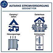 Scheppach Stromerzeuger SG 2500 i (Nennleistung: 1,6 kW, Tankvolumen: 4,1 l) | BAUHAUS