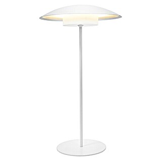 New Garden Lámpara LED decorativa Sardinia (Ø x Al: 22 mm x 40 cm, 6 W, 700 lm, Blanco)