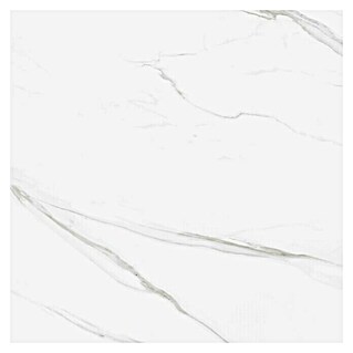 Pavimento porcelánico Capri (60 x 60 cm, Blanco, Brillante, Rectificado)