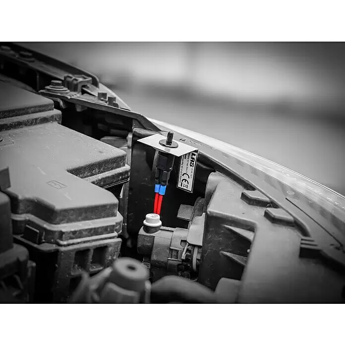 LAS Marderstop Kfz - B x H: 4 x 5,8 cm, 12 V - Individueller Kabelbaum mit rot-blauen Kabeln, schwarzem Stecker und Metallhalterung, im Motorraum eines Autos installiert.