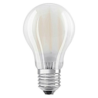 Osram Star LED-Lampe Classic A 100 (E27, Nicht Dimmbar, Kaltweiß, 1 521 lm, 10 W, Matt)