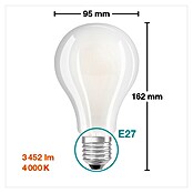 Osram LED-Lampe Glühlampenform E27 matt (E27, Nicht Dimmbar, Kaltweiß, 3.452 lm, 24 W) | BAUHAUS