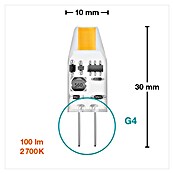 Osram LED-Lampe Pin G4 MR16 (G4, Nicht Dimmbar, Warmweiß, 100 lm, 1 W) | BAUHAUS